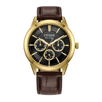 Citizen Gents Eco-Drive Strap SSYP WR100 Mens Watch BU2112-06E